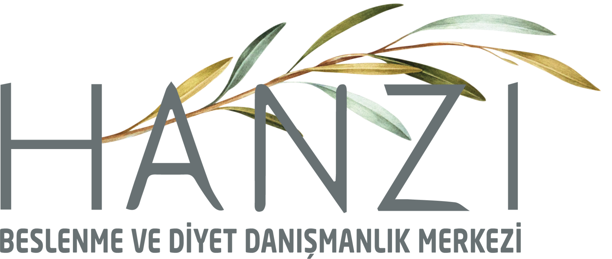 HANZI Beslenme ve Diyet Danışmanlık Merkezi Logo